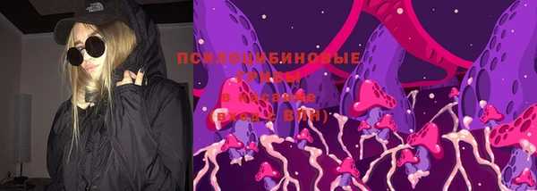 прущий лед Заводоуковск